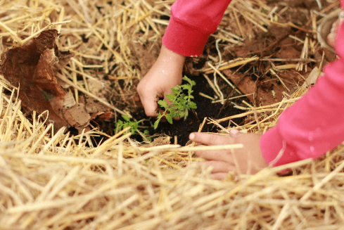ecological protection measures img